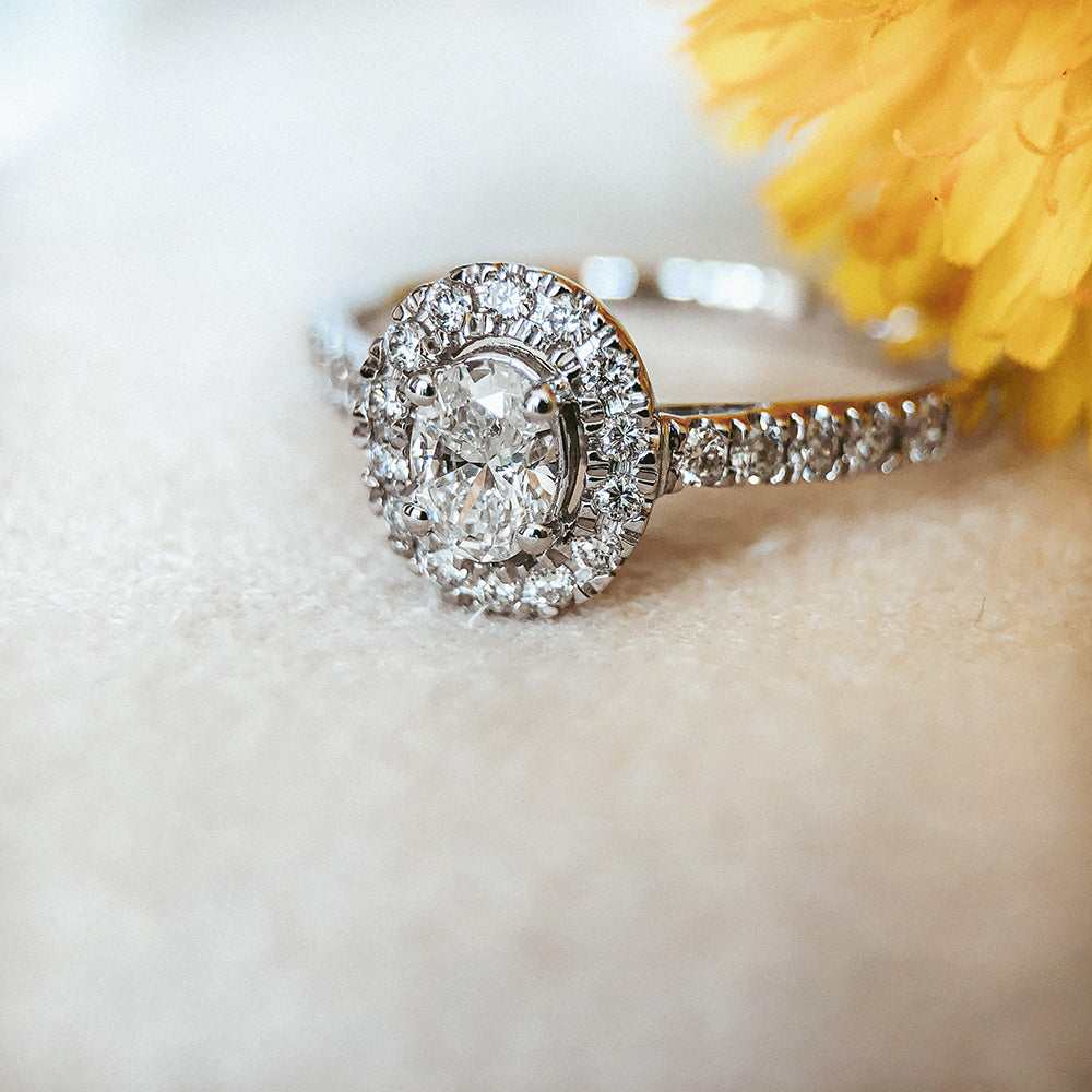 Ring Rosie 0,50 crt. witgoud